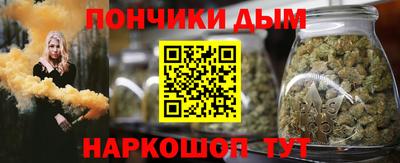 гашик Боровичи