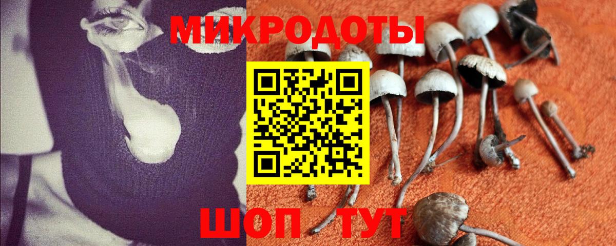 Галлюциногенные грибы Magic Shrooms Ноябрьск