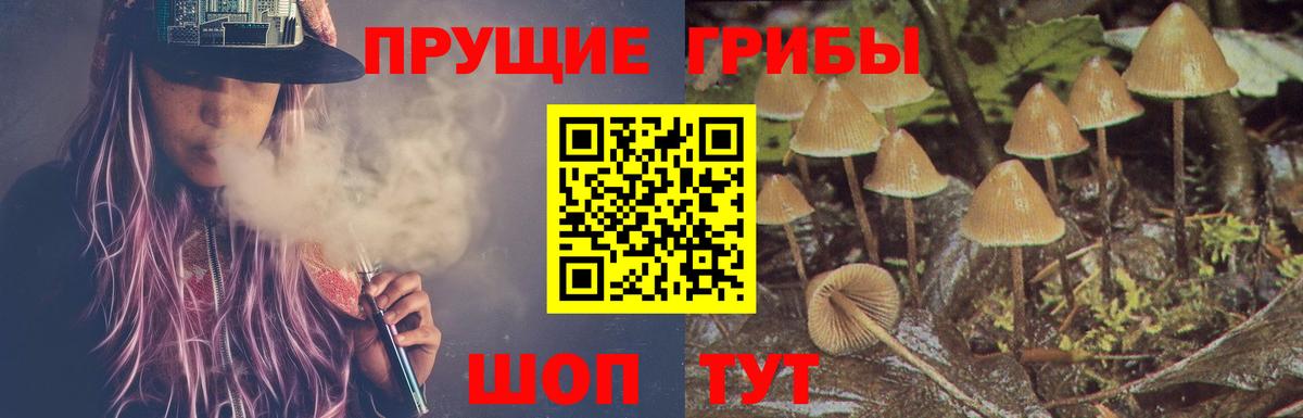 Ноябрьск  Псилоцибиновые грибы Magic Shrooms  Галлюциногенные грибы MAGIC MUSHROOMS  Вход с VPN 