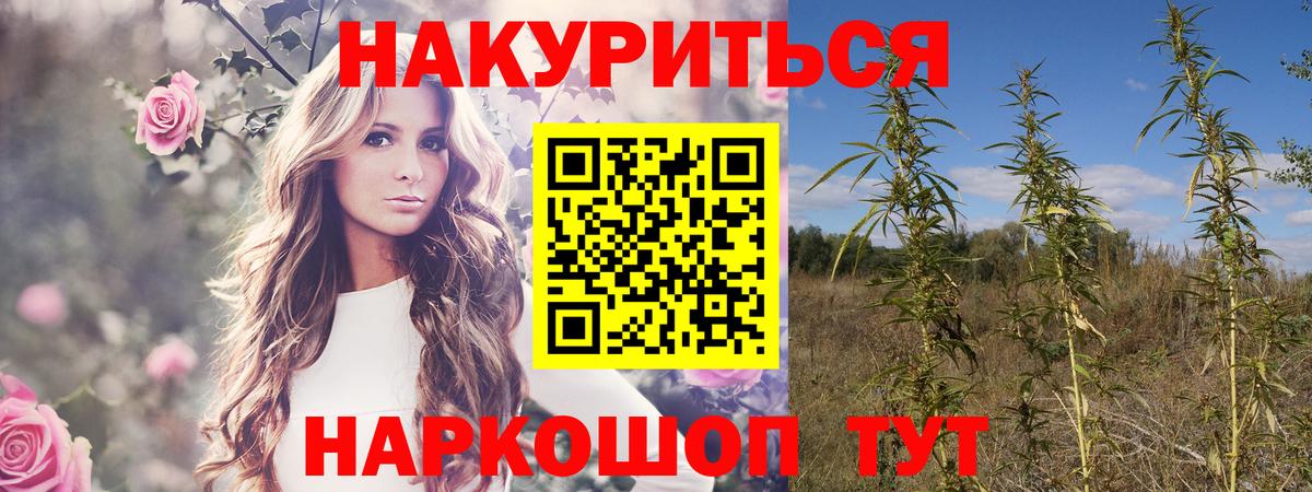 Ноябрьск  Марихуана индика  Бошки Шишки Bruce Banner  Конопля Bruce Banner  Бошки марихуана Bruce Banner  Вход с VPN 
